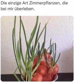 7Unbenannt - Kopie.JPG