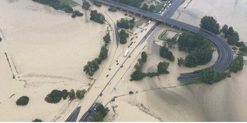 85675D5E-D418-41F1-95E6-5020D533D0C9.jpeg 85675D5E-D418-41F1-95E6-5020D533D0C9.jpeg