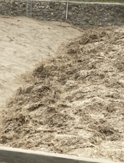 B569E75E-6B7B-4969-AF2D-FB923913A8D8.jpeg B569E75E-6B7B-4969-AF2D-FB923913A8D8.jpeg