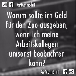 927297E3-0DD6-466E-AF6D-42E36EFF0913.jpeg
