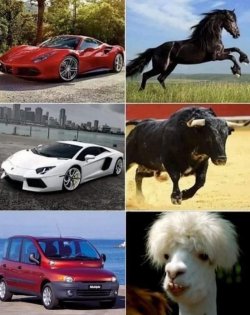 8Unbenannt - Kopie.JPG
