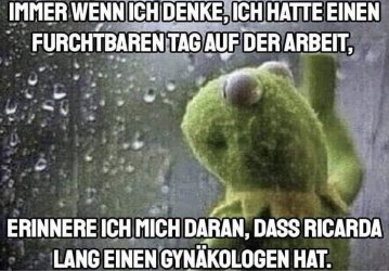 20220828-152649-MisterMiagie-id5299559.jpg