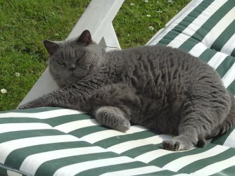BILD0593.jpg
