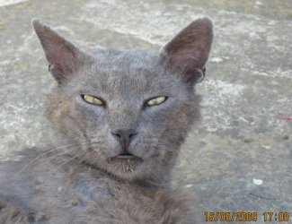 Kretakater.jpg