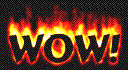 Flamewow.gif