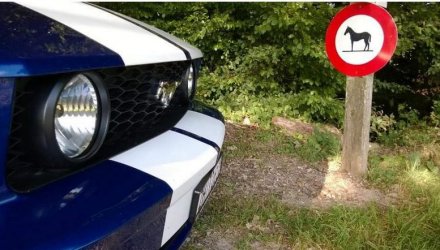 2Unbenannt - Kopie.JPG