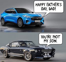 FB_IMG_1662244756998.jpg