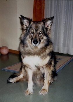 Scannen0001.jpg