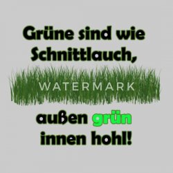 die-gruenen-scherz-spass-witz-maenner-premium-langarmshirt.jpg