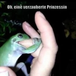 1Unbenannt - Kopie.JPG