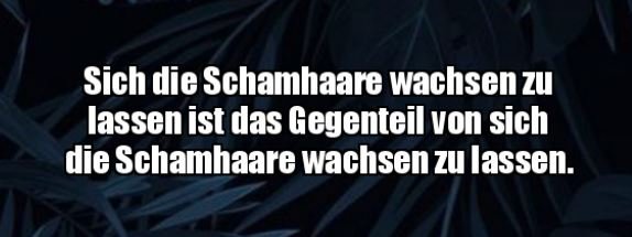 8Unbenannt - Kopie.JPG