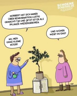 2Unbenannt - Kopie.JPG
