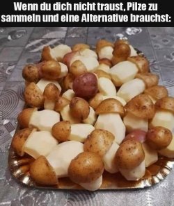 7Unbenannt - Kopie.JPG