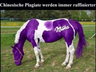8Unbenannt - Kopie.JPG