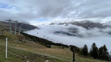 76EEEA35-6AA5-41A0-A399-A6931A7C6926.jpeg 76EEEA35-6AA5-41A0-A399-A6931A7C6926.jpeg