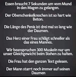 4473613-40097a559474c364be8ebc3fad7028c7.jpg