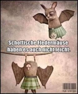 FB_IMG_1639990837234.jpg