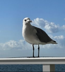 6DDD1070-A764-4530-AA66-49E572517220.jpeg