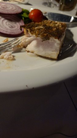 IMG-20221010-WA0032.jpeg
