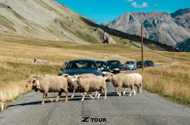 Z Tour 2022-132 Kopie.JPG