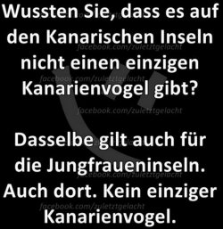 3Unbenannt - Kopie.JPG
