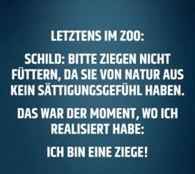 1BD1AD41-DEF5-4AD0-8AF1-65E2A8A934A6.jpeg