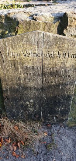 20221016_172939.jpg
