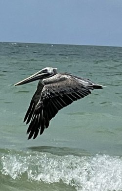 40F5A8AC-1472-4266-BC01-7172C509E256.jpeg