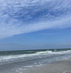 A8773F1E-0354-4FF1-B7BD-BD495C477BDB.jpeg