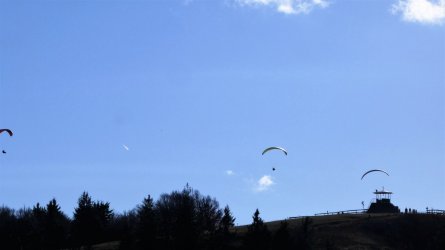P1010039.JPG