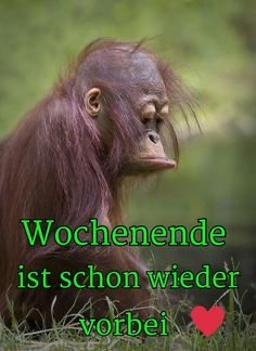 9B3948C7-83A6-4A1A-AA1E-2360314C88B2.jpeg