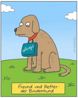11Unbenannt - Kopie.JPG