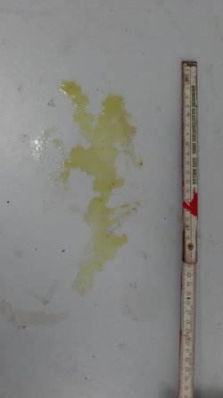Bild 002.jpg