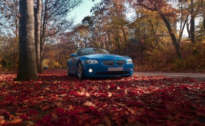 herbst_2.jpg