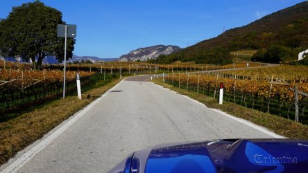 MendelPass VecchiaSorni (47).JPG
