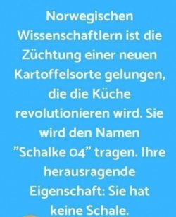 2 - Kopie.jpg