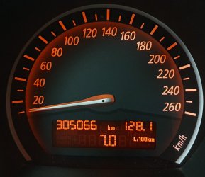 305066.jpg