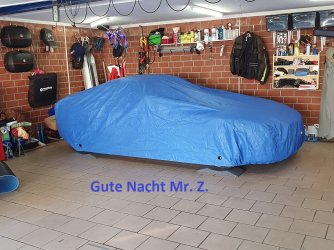 WS Mr.Z. 2.jpg
