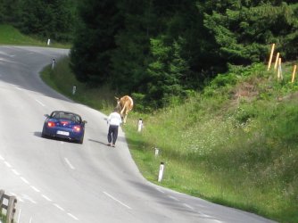 Dolomiten 09 025.jpg