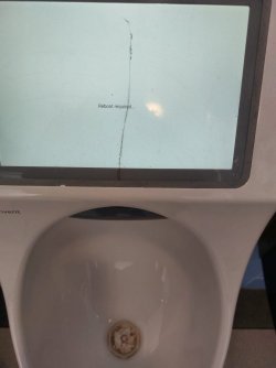 C36967E7-95F1-45AA-9481-C375A5BA5E1B.jpeg