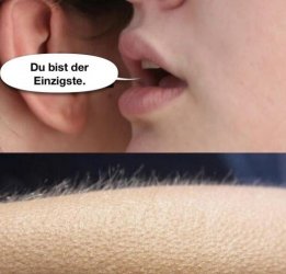 5Unbenannt - Kopie.JPG
