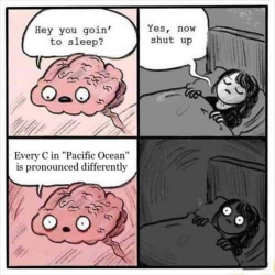 1669229611845.png