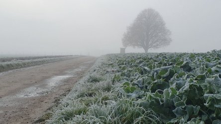 20221127_101950.jpg