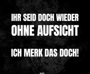 spruchwelt.com-ihr-seid-doch-wieder-ohne-aufsicht-ich-merk-das-doch-86ce9016.png
