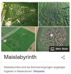 1670060298517.png