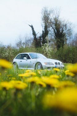 website-1-3.jpg