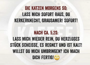 1671198058633.png