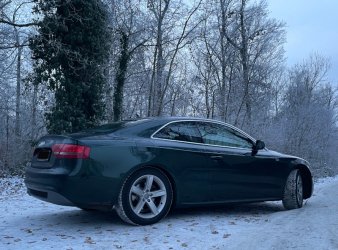 QuattroimSchnee.JPG