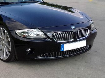 Z4 Shark Grill.JPG
