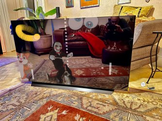 TV.jpg